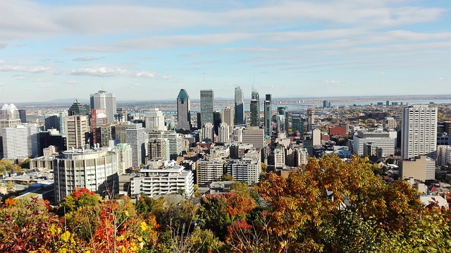 Visiter Montréal en famille : vue du belvédère Kondiaronk au sommet du Mont Royal